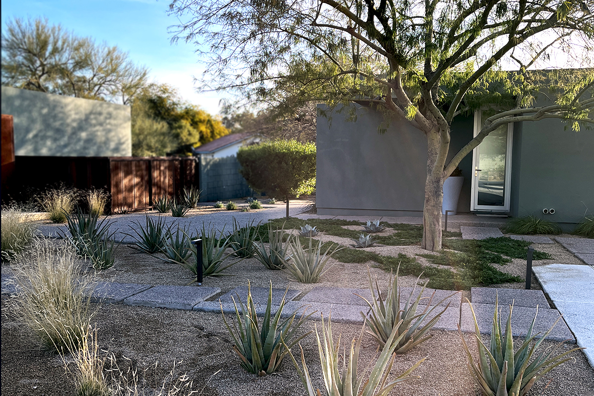 Contemporary back yard landscape design by On Site Landscape, project in Paradise Valley, Arizona. Desert oasis in the back yard - seamlessly blending a structured planting scheme closer to the house with a naturalized aesthetic further out.